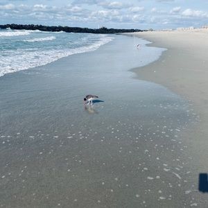 Meet your Posher, Natasha